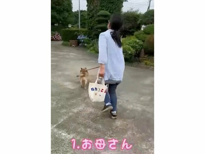 お母さんとの散歩(提供:タチバナさんの毎日ルーティン)