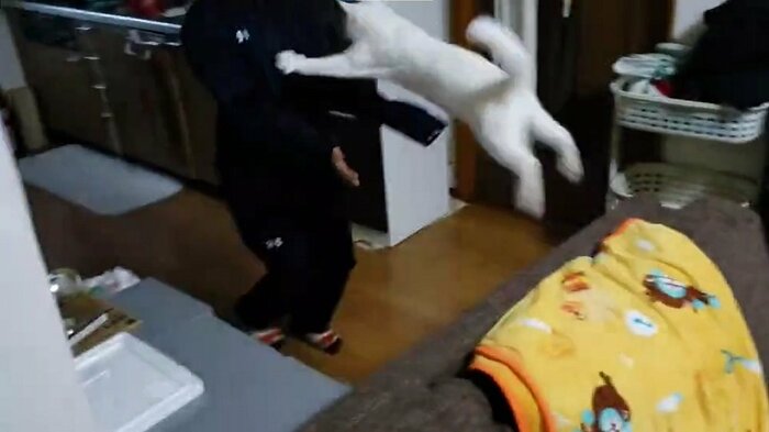 ダイナミックなお出迎え!