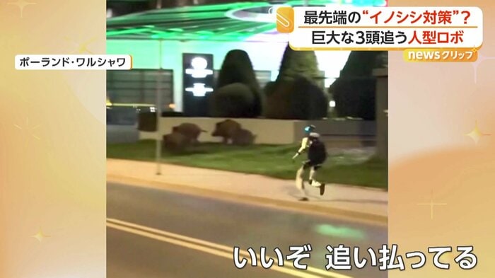 ロボットに追われるイノシシたち（Edward Warchocki）