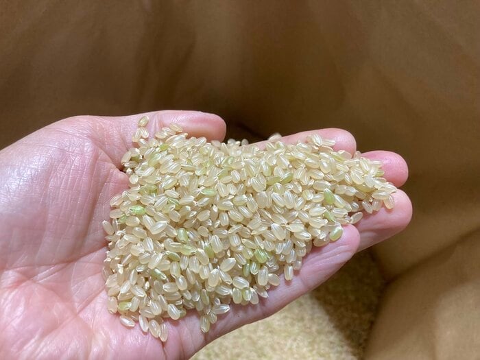 収穫して籾殻を取ったばかりの玄米