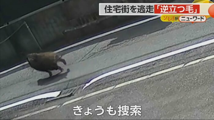 (視聴者撮影)