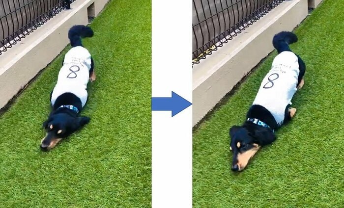 掃除機のように芝生をスリスリして前進
