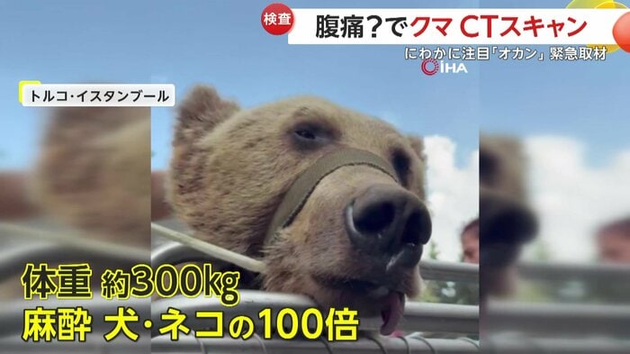 麻酔で爆睡していたオカン