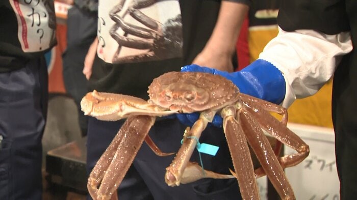 珠洲であがった第八丸一丸のカニ