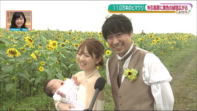 風の高原に黄色のじゅうたん 笑顔広がる布引高原ではヒマワリが見ごろ<福島県郡山市>