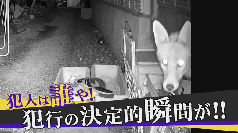 学校に行くと上履きがない…　家や学校から靴やサンダルが次々と盗まれる事件　狙われるのは“使用済み”【兵庫発】｜FNNプライムオンライン