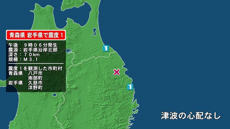青森県で最大震度1の地震　青森県・八戸市、青森南部町、岩手県・久慈市、岩手洋野町｜FNNプライムオンライン