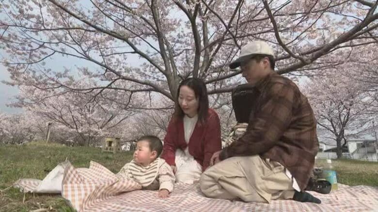 「めっちゃ綺麗で良かった」愛媛県内のお花見スポットはサクラが見頃　各地で訪れた人が賑わう【愛媛】｜FNNプライムオンライン