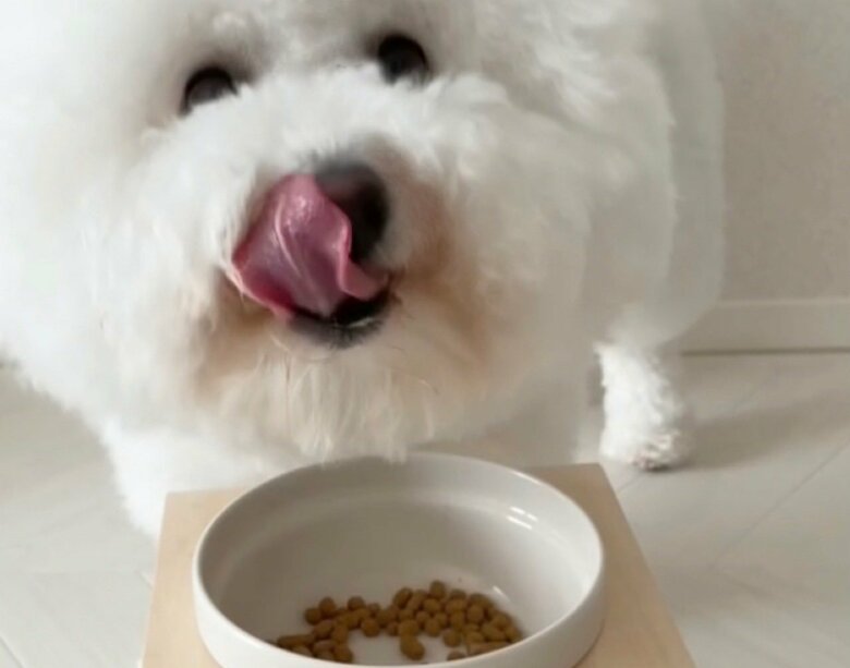 食べることが大好きだという