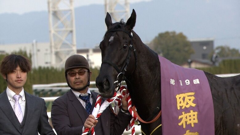 阪神C・GⅡを制したナムラクレア