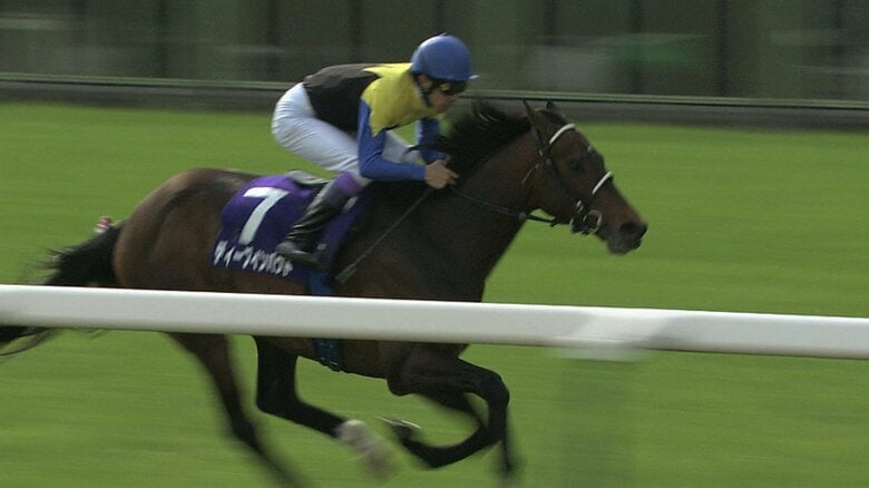 2006年の勝ち馬 ディープインパクト　