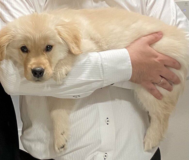 週に1回成長記録として洗面所で撮影しているという