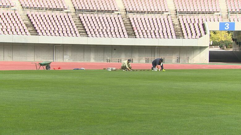 日本代表戦に向け芝生を補完