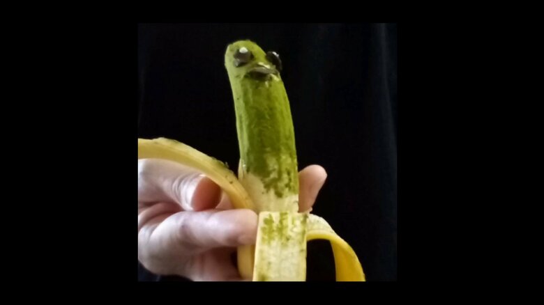 バナナのウロコインコ