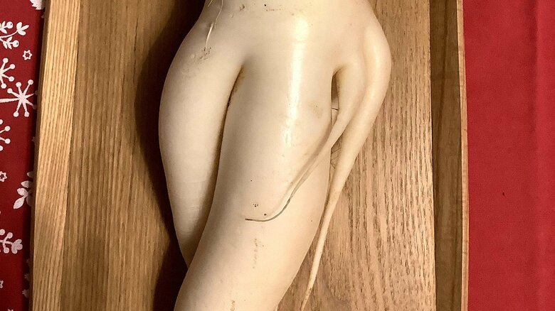 「手足」が生えてきた理由は「旅に出たかったから」（投稿者コメント）