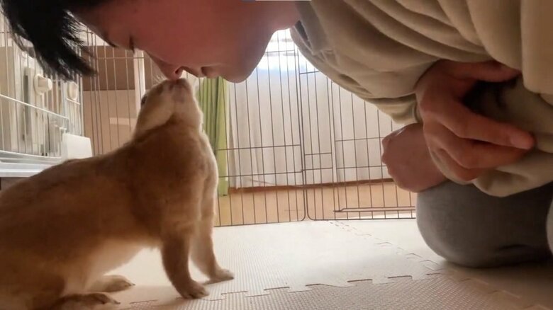 チュー
