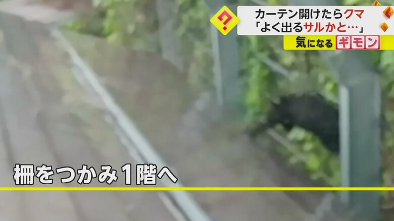 （FNN投稿サイト「ビデオPost」）