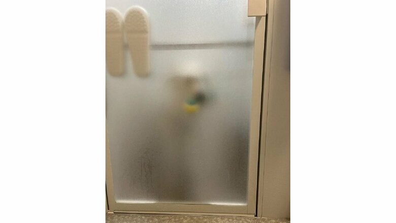 お気に入りのおもちゃをくわえて待っている