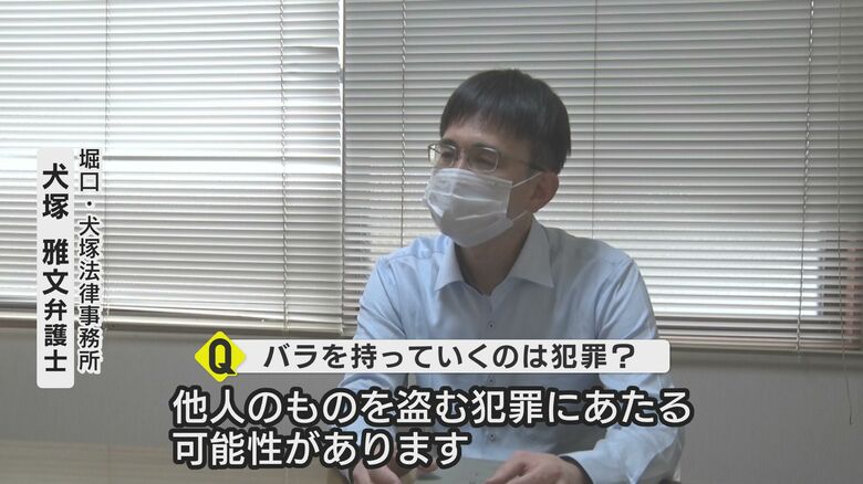 花を持ち帰ると窃盗罪の可能性が