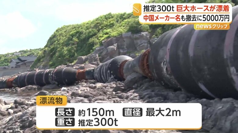 海岸に漂着した巨大なホース