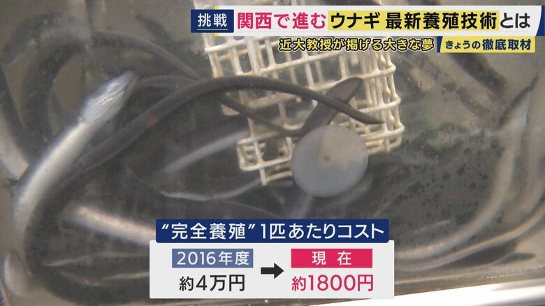 コストは1匹約4万円から約1800円に