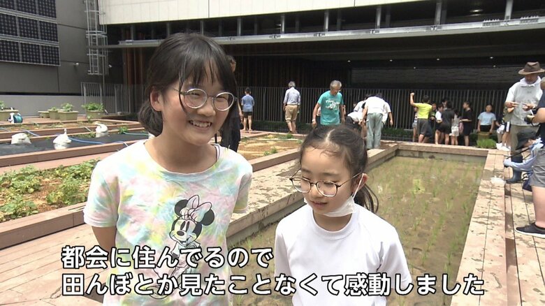田んぼを見たことがなかったという子どもたち