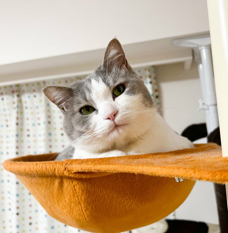 提供：いずもん/まろ様さん