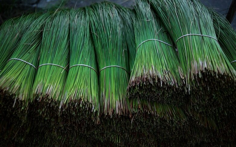 八代産い草を使用　(C)2017 熊本県いぐさ・畳表活性化連絡協議会IGSAPHOTOLOG