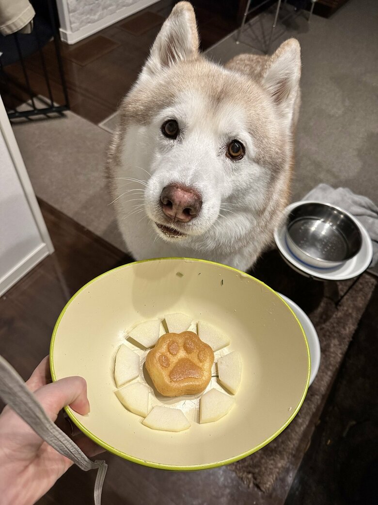 デザートを前にうれしそうなヴィヴィアンくん