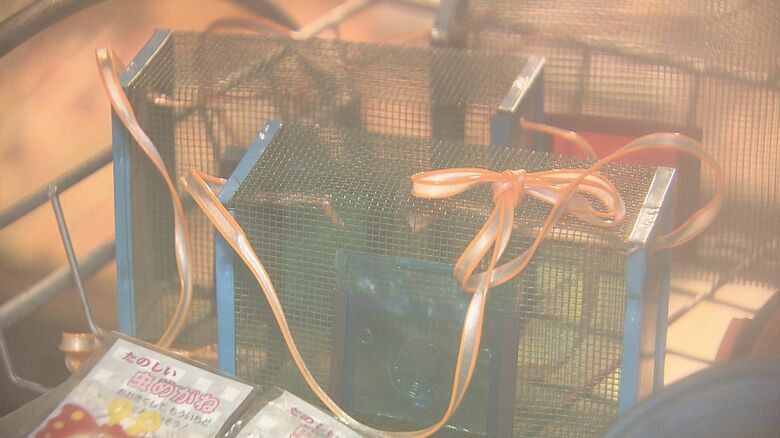 ブリキの虫かご