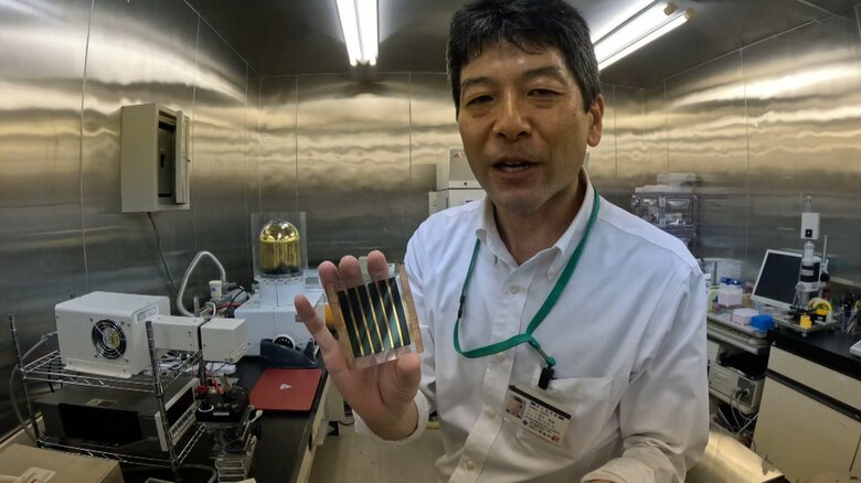 桐蔭横浜大学・池上和志教授