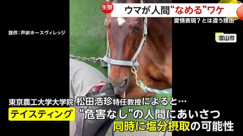 「テイスティング」というペロペロ行為