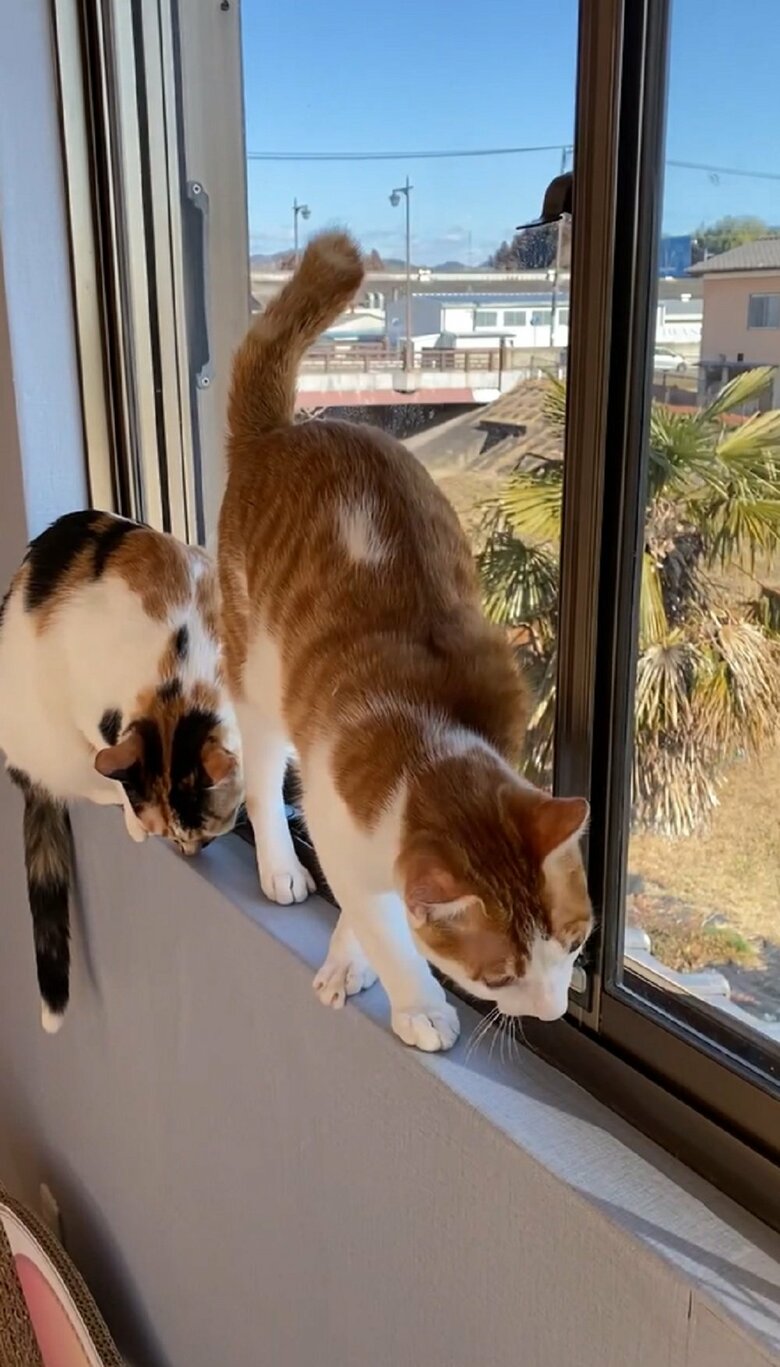 Uターンをすることができる