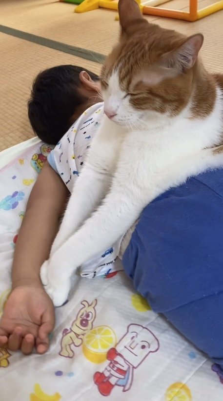 提供：Hassakuさん