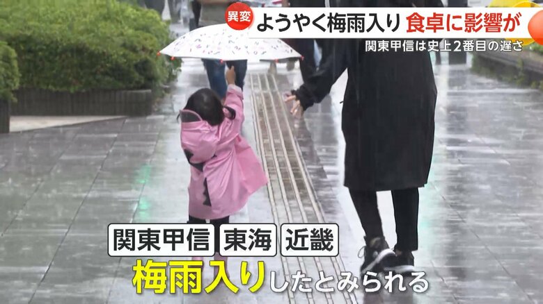 気象庁は21日、関東甲信などが梅雨入りしたとみられると発表
