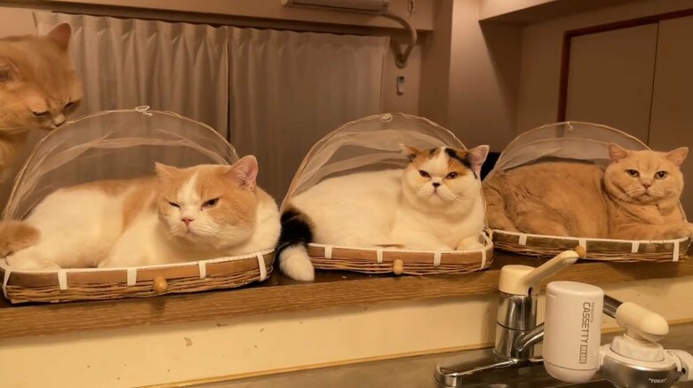 提供：みかんとじろうさんちさん