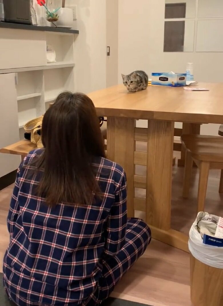 飼い主さんが顔を出すと、あんこくんは停止