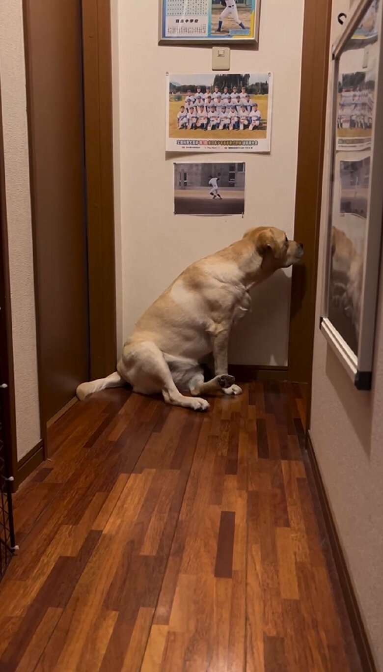 薫風ちゃんが何かに反応した