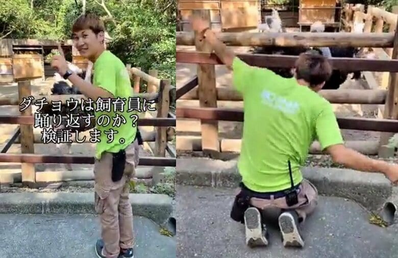 ダチョウ担当の飼育員