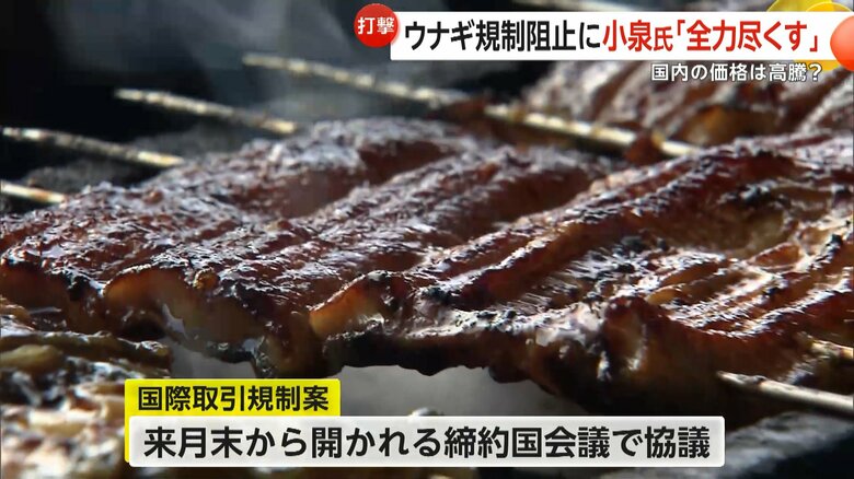 11月末から開かれる締約国会議で協議される国際取引規制案