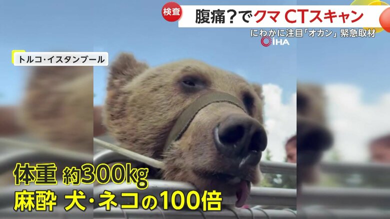 麻酔で爆睡していたオカン