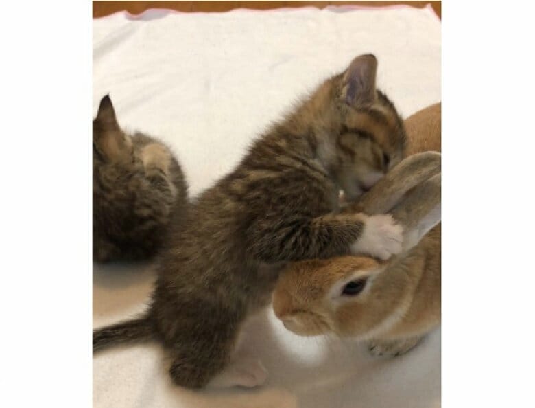 提供：もずく＆こんぶさん