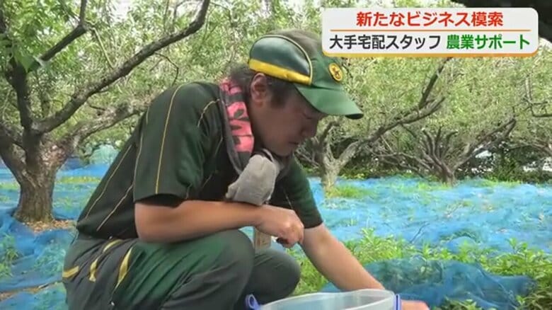 普段はドライバーや事務をしているスタッフたち