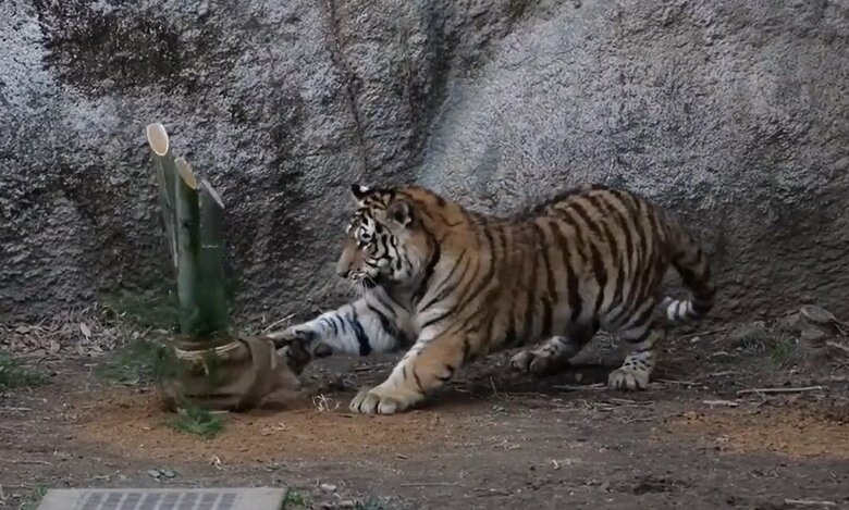 へっぴり腰のままもう一度