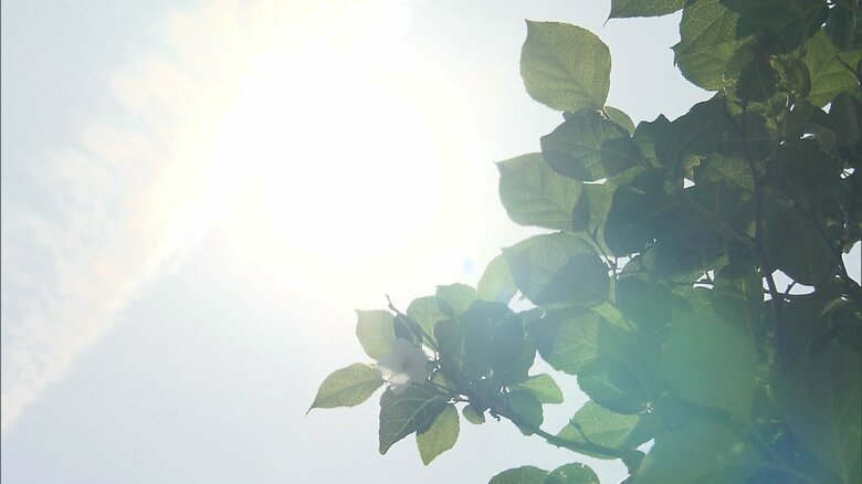8月～10月は「全国的に平年より気温が高くなる」見通し