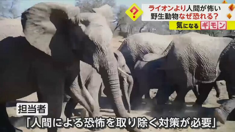 実験担当者は、人間による恐怖を取り除く対策が必要だと訴える