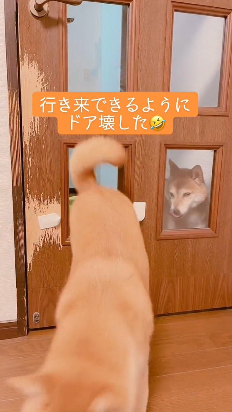 危なげなく開けた小窓を通り抜ける