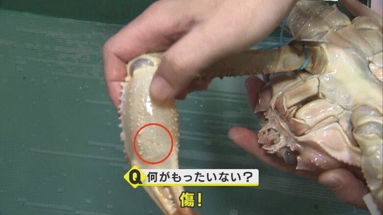 爪の裏に小さな傷が…