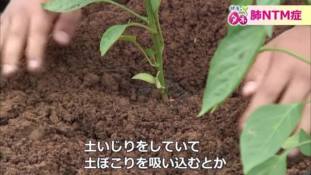 土いじりやシャワヘッドなどからも感染