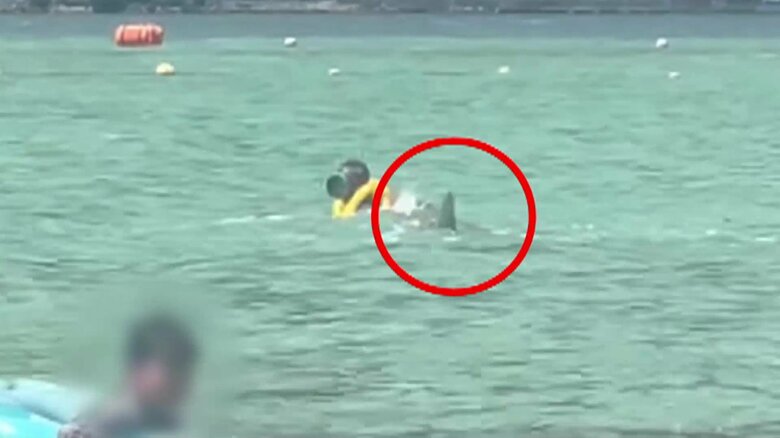 画像：ビデオポスト